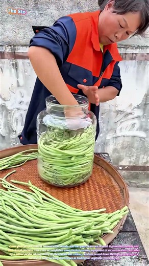Watch a Skilled Preserver Pack Fresh Yardlong Beans into a Glass Jar for Fermentation! 🫙🌿