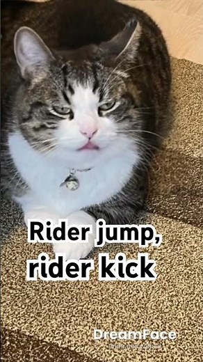 #Let’s Go!! Rider Kick #TeddyLoid (Altervoice) #cat #猫のいる暮らし #猫のいる暮らし #歌詞有