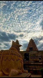 Nandi, the bull, is a sacred and iconic figure in Hindu mythology and is often seen in front of Shiva temples. Nandi is considered the vahana (mount) of Lord Shiva and is also known as his gatekeeper. Nandi is typically depicted as a large, powerful bull with a docile and loyal demeanor. In Hindu tradition, Nandi is revered for his strength, devotion, and wisdom. It is believed that by paying respects to Nandi before entering a Shiva temple, one can gain blessings and protection. Nandi is a symb