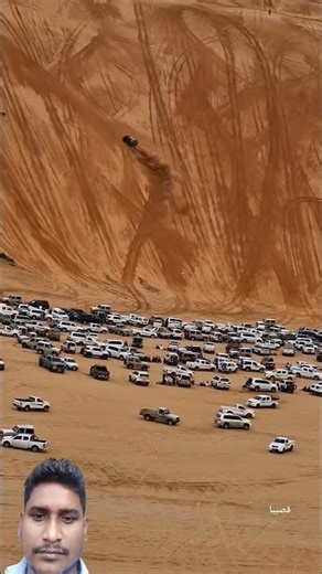 #viralvideo #animals #race #car #carrace #raceingcar