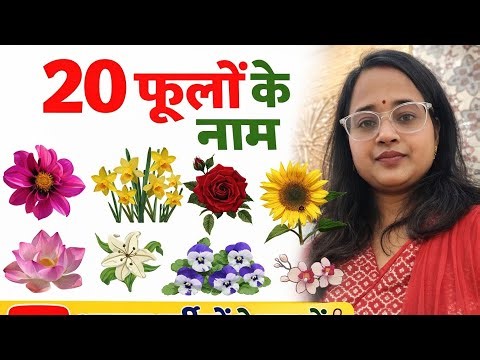 20 Flowers name in English| Flowers name English and Hindi | phoolon ke Naam Hindi aur angreji mein