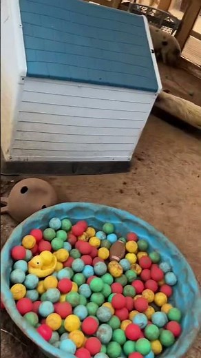 Had such an amazing time in Hawaii 🌺Comment for pt 2!!!