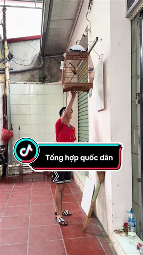 Cám tổng hợp cho mọi loài chim — lựa chọn quốc dân 2026