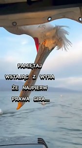 1.3M views · 5.9K reactions | ⭕️Witamy w Środę 17 lipca!  Nietypowe święta: Światowy Dzień Emoji 拾 Ogólnopolski Dzień Tabaki  | Komisja Krajowa WZZ "Sierpień 80" | Facebook
