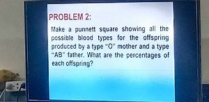 PROBLEM 2:Make a punnett square showing all the possible blood... | Filo