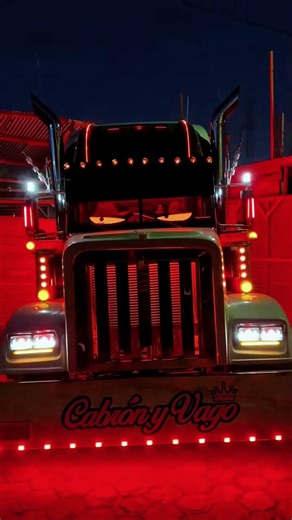 LED MATRIX PANEL #automobile #thetransitprodigy #trucking #flexibleled #trucker #ledlights #travel