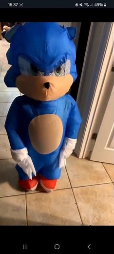 inflatable sonic costume
