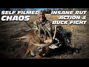 CHOAS of the Rut- Self Filmed Giant Buck goes down then mauled by a stud 9!