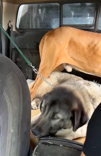 6.1K views · 22 reactions | Lydia Rotary on Reels | Facebook