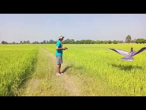 First flight RC kite By Ray DIY