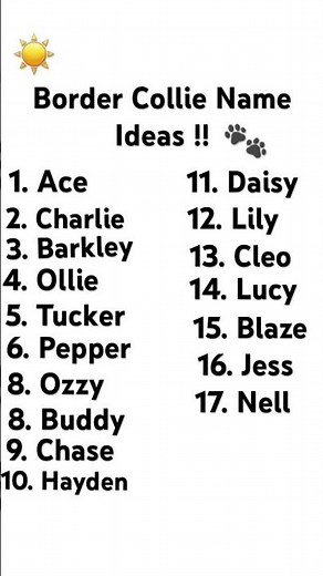 17 Border Collie Name Ideas ! #therian #therianthropy #nameideas #bordercollie