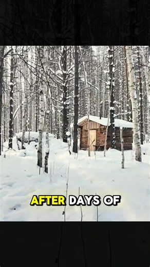 First Winter Night Alone in My Unfinished Wilderness Cabin - Building a Bed by Firelight. #outdoorliving #wintersurvival #wilderness #shelterlife #bushcraftsurvival #campinghacks #survived #outdoorlife #treehouse