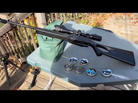 Winchester 1977XS Testing Slugs At 25 yards Part 2 (10 Pumps)