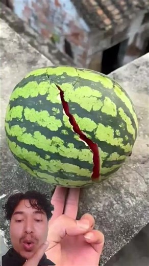 🍉💥😱 watermelon# breaking# down# crushing #challenge
