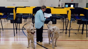 LA County releases updated results from Tuesday’s election