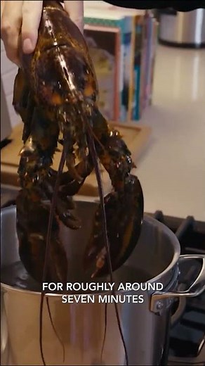 Cooking lobster at home is easier than you think 🦞