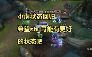 WBG拿下冠军，小虎状态回归，希望shy哥也能有更好的状态吧