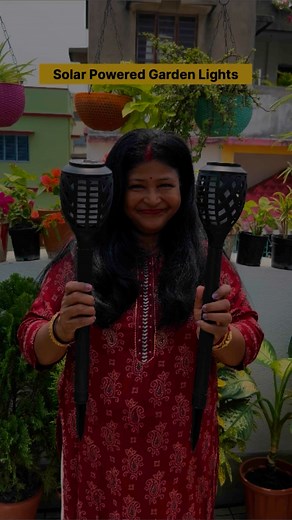 Garden solar lights 🔥 from solarfornature #trendingreel #sustainability #renewableenergy #solarenergy | Pro_planting