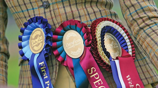 The ultimate check list to use before a show - Horse & Hound