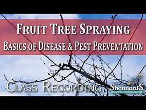 Basics of Fruit Tree Spraying for Disease Prevention & Control - Class Recording 2025
