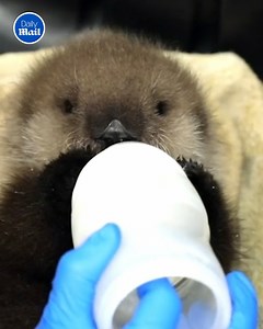 14K views · 1.1K reactions | A second chance at life ❤️ | Daily Mail Video | Facebook