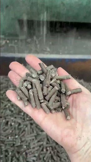 Animal Manure Pellet Making Machine, Organic Fertilizer Granulator, Flat Die Pellet Machine
