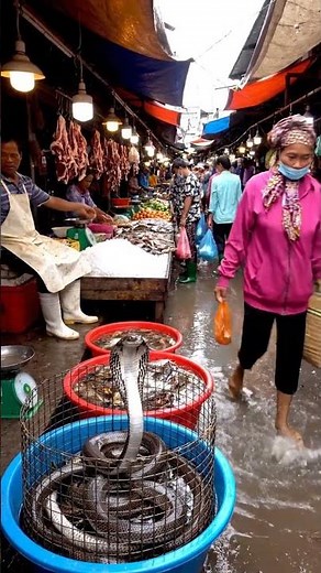10 Shocking Street Foods You Have To See To Believe