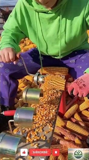 The Fastest Manual Way to Shell Corn! 🌽✨ #farming #agriculture #viral