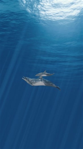 AZ Media (@a_z_mediaq)’s videos with original sound - AZ Media