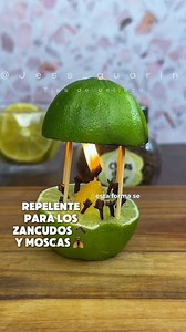 Truco Facil y casero para espantar zancudos y moscas #zancudos #moscas #repelentenatural | Jess Guarin Tips de belleza