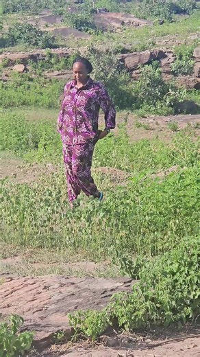 Northeast Women Summit in Gombe: What to Expect