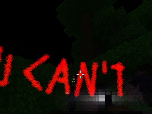 (附链接)美国警察掠杀雾中人真实影像