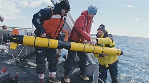 MIT Develops Algorithms That Enable Human-Robot Teaming Underwater