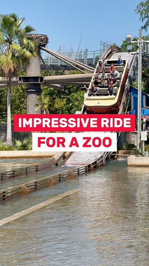 Zoo Tampa is home to the Roaring Springs ride #zoo #tampabay #waterride | In The Loop