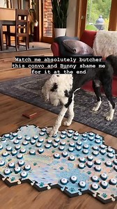 Piggybacking off of this morning’s post. Buns is communicating constantly, but that doesn’t mean I always get it. I do my best, you know, limited vocabulary, big thoughts. But at least she has the capacity to decimate my self esteem like any other teenager. I hear you loud and clear Buns, I’m an embarrassment 😂 • • • • #youreembarrassingme #momstop #human #talkingdog #whataboutbunny #fluentpet #soembarassing #igdogs #hunger4words #mydogtalks #sheepadoodle | Whataboutbunny