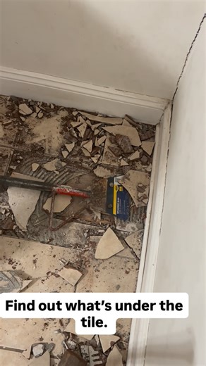 Delta Blue Flats on Instagram: "The most exciting and nerve-wracking moment of making home improvements. 🏡🔨"