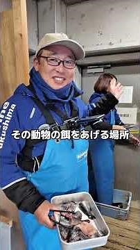 【ユーラシアカワウソ】エサの時間に密着！ #アクアマリンふくしま #水族館 #福島 #いわき