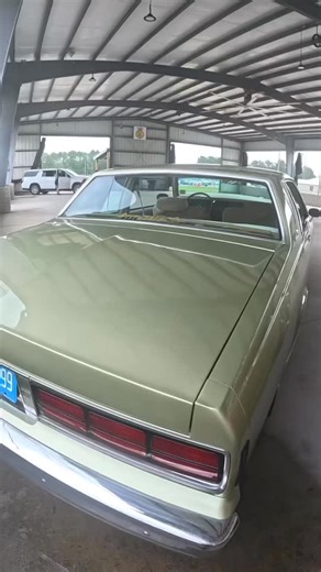 Boxchevy #chevy #oldschool #carshow #automobile #fyp | Sham Sham