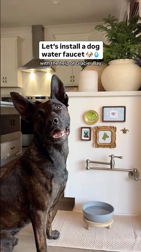 DIY Dog Water Faucet Made Easy | The Home Depot