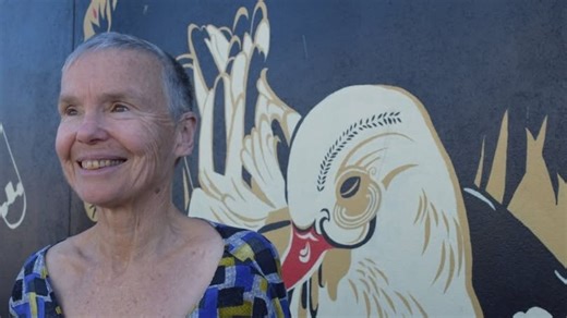 New Zealand woman killed by elephant: Alison Taylor, 67, will be ‘profoundly missed’, colleagues say