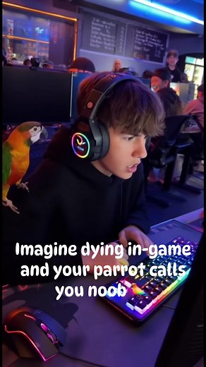 38K views · 259 reactions | Imagine dying in-game and your parrot calls you noob 列 #gaming #gamingreels #funnyreels #gaminglife #gamers #gameroom #gameday #game #reels #viral | Professional Gamers | Facebook
