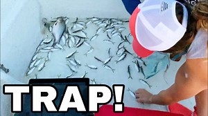 Giant net trap hauls in tons of bait for monster fish