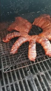 Alien creepy crawly Halloween Ribs