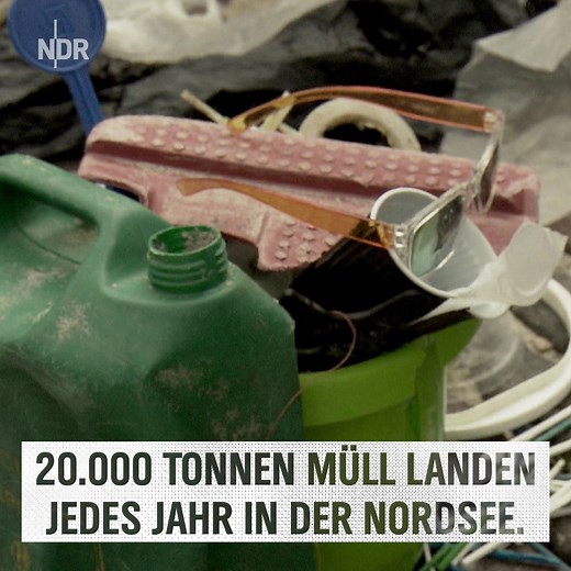 Plastikmüll vermeiden und Leben retten. Jeder kann was tun! | NDR.de