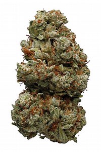 Northern Lights #1 Strain - Indica Cannabis Review,