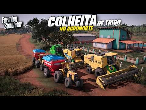 Colheita Do Trigo Na Região 100% Realista | Farming Simulator 22 Simulando Vida Real