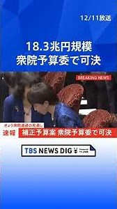 【速報】18兆3000億円規模の補正予算案が衆院予算委員会で可決 ｜TBS NEWS DIG #shorts