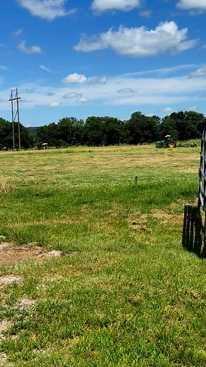 151K views · 2.5K reactions | Amish Mowing Our Hay #amish #hay #tractors #summer #hayseason #WalkerFarmFam | Walker Farm Fam | Facebook