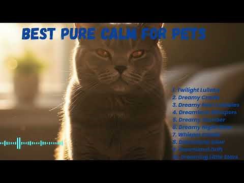 One Look & Instant Calm: Secret Technique Revealed