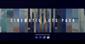 Cinematic LUTs | Premiere Pro